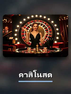 โต๊ะคาสิโนสด สดของ D55