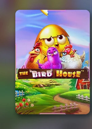 เกม The Bird House ในห้องสล็อต D55